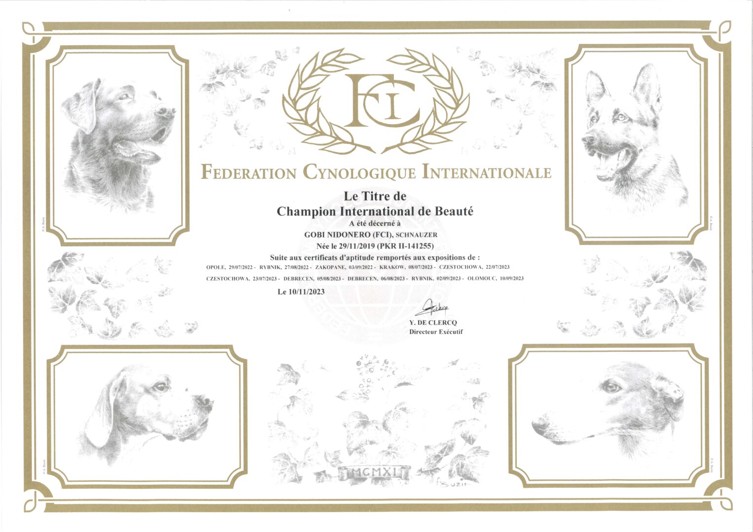 CHAMPION INTERNATIONAL certyfikat