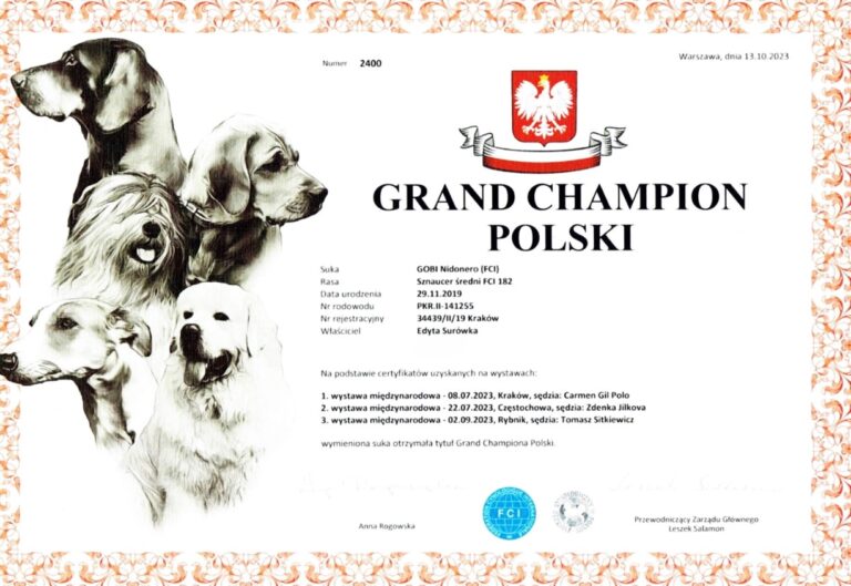 GRAND CHAMPION POLSKI