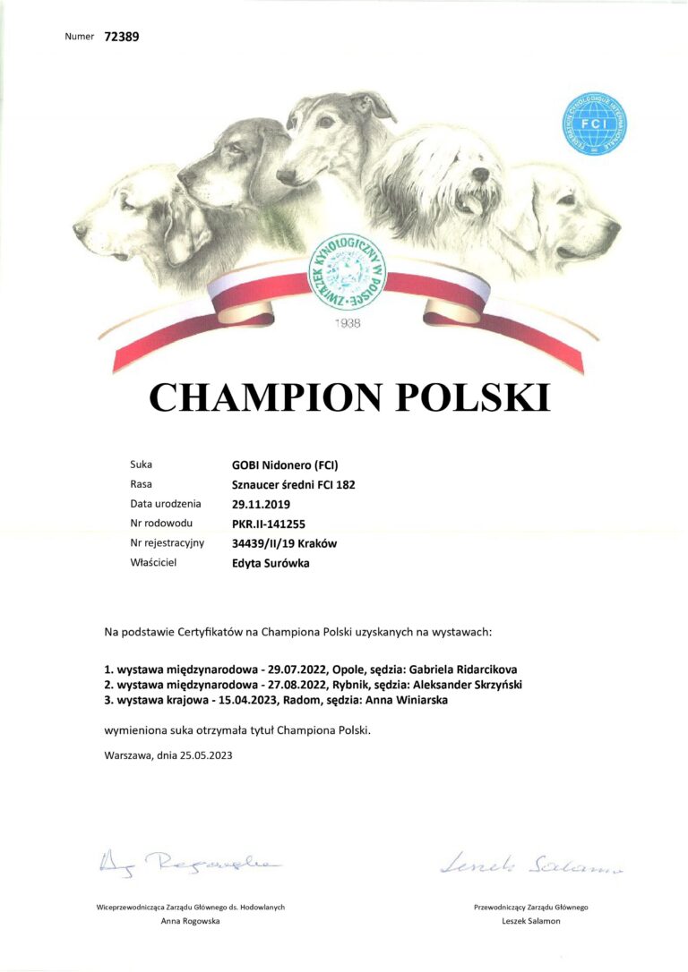 CHAMPION POLSKI